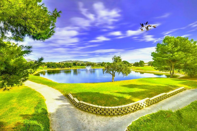 Play golf at designer golf courses nearby!