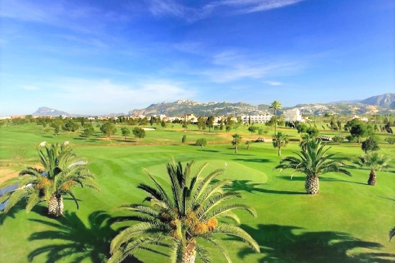 Wybierz kurs i graj przez cały rok!