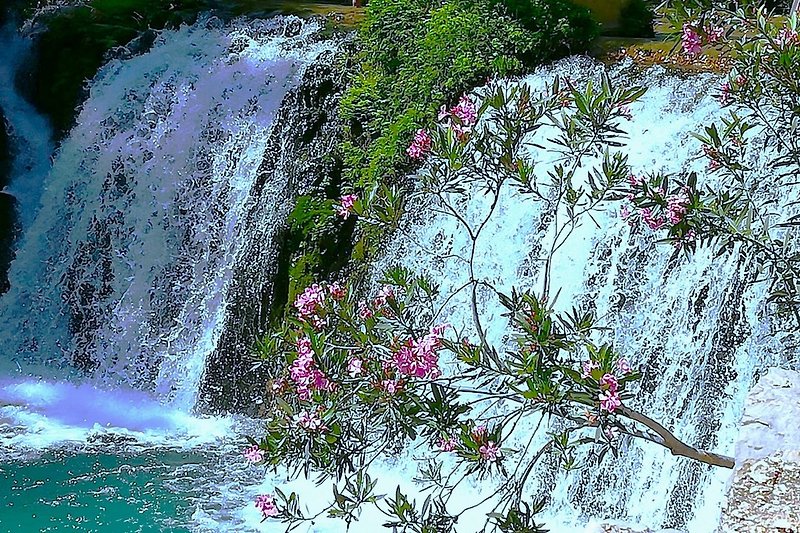 Die Wasserfälle von Fonts'dAlgar, 10 Minuten vom Haus entfernt, schwimmen Sie in den verschiedenen Bassins der Wasserfälle.