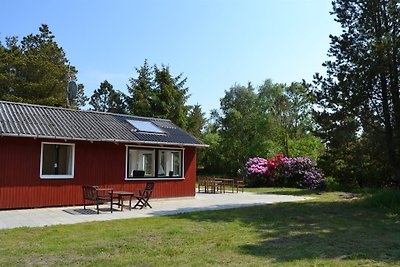 Ferienhaus in Römö, 6 personen