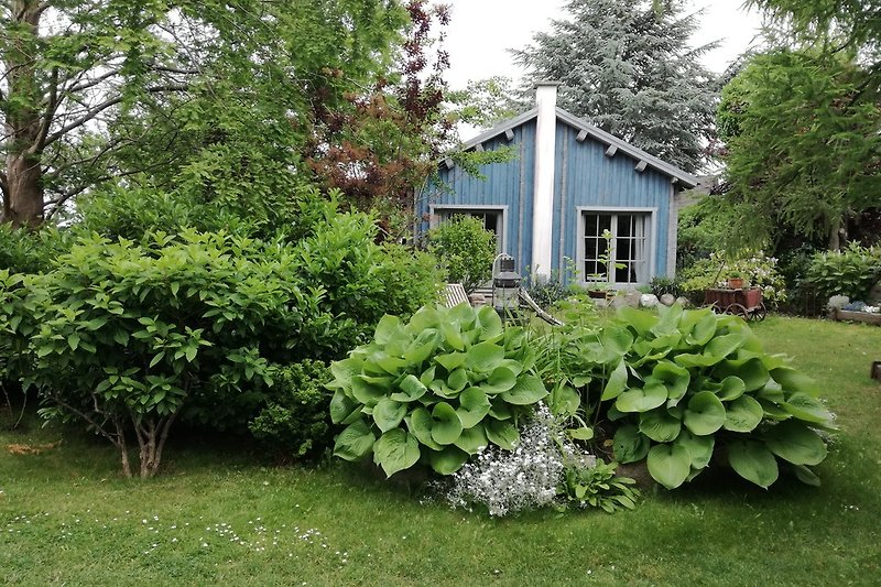 Garten mit Blockhaus