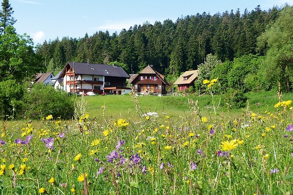 Ferienwohnung Freudenstadt