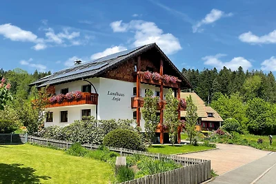 Casa di campagna Anja: appartamento di 2 locali