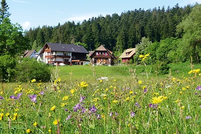 Casa di campagna Anja: appartamento di 2 locali