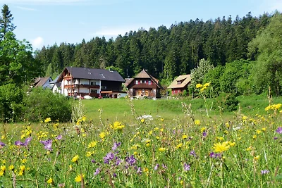 Casa di campagna Anja: appartamento di 2 locali