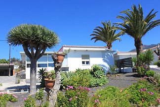 Domek letniskowy Urlop wypoczynkowy El Paso