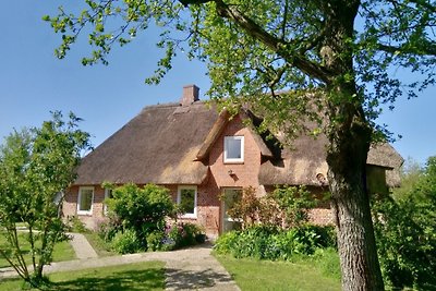 Reethus Bombüll