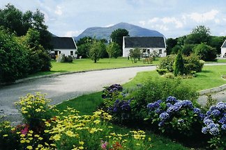Holiday Homes Apartments In Killarney