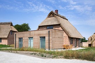 Ferienhaus, Nieby