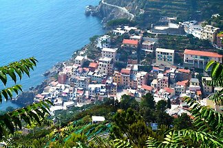Appartements Il Borgo di Campi, Riomaggiore