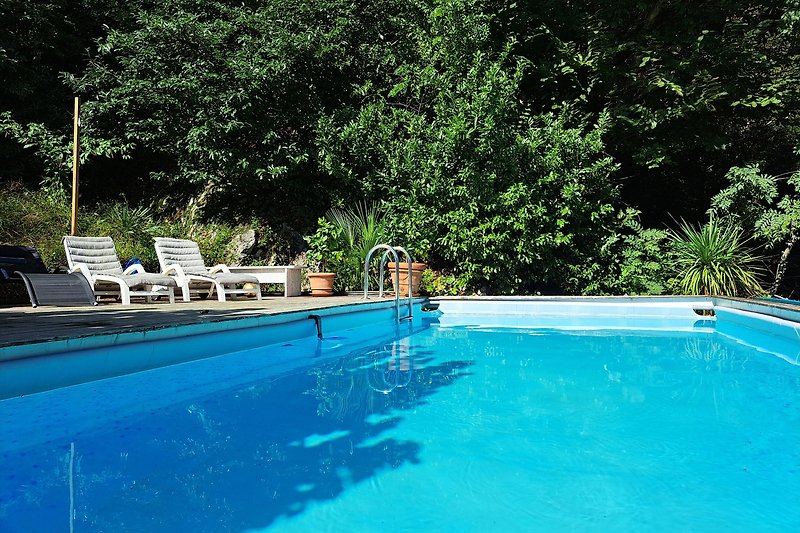 Ein tropischer Garten mit einem Pool und Outdoor-Möbeln.