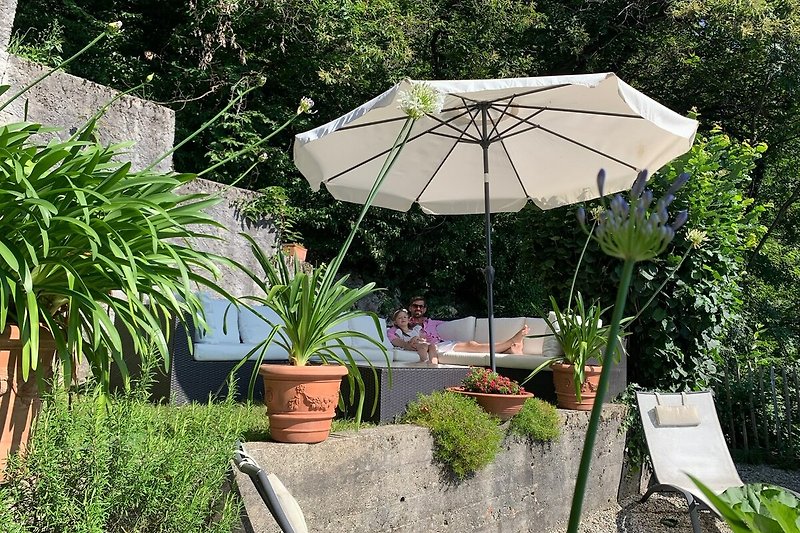 Ein sonniger Garten mit Pflanzen, Blumentopf, Möbeln und einem Sonnenschirm.