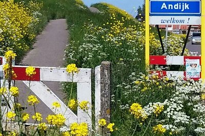 Deichblume
