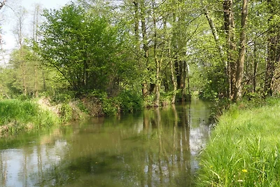 Spreewaldhof Schupan nella Spreewald