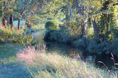 Spreewaldhof Schupan nella Spreewald