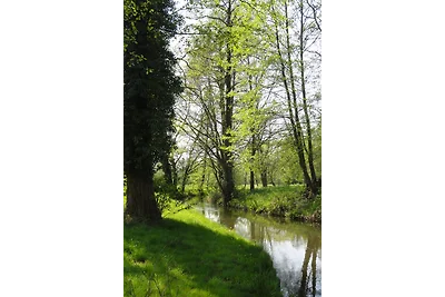 Spreewaldhof Schupan nello Spreewald