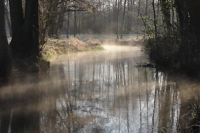 Spreewaldhof Schupan nello Spreewald