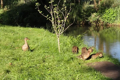Spreewaldhof Schupan nella Spreewald
