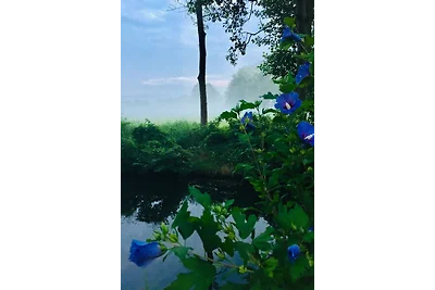 Spreewaldhof Schupan nello Spreewald