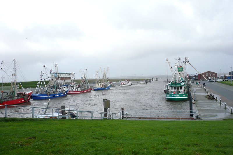 Hafen von Dornumersiel bei Hochwasser.