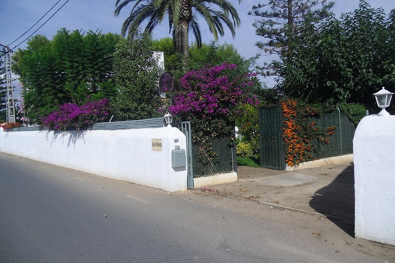 Luxuriöses Haus mit blühendem Garten und Palmen.