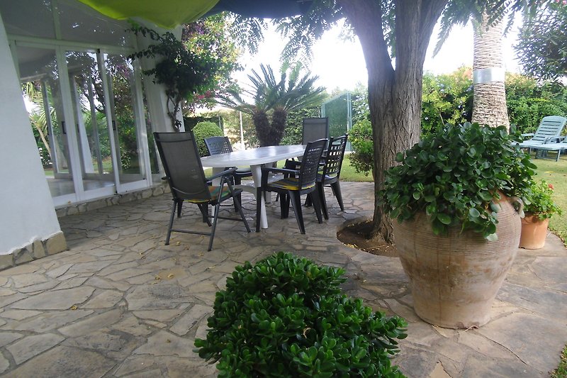 Garten mit Tisch, Stühlen, Pflanzen und Palmen.