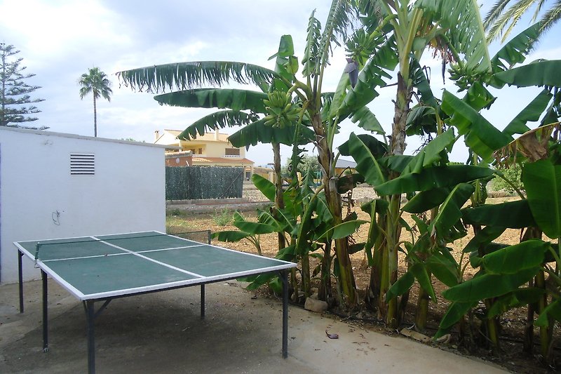 Tropischer Garten mit Bananenblättern, Holzhaus und Tisch.