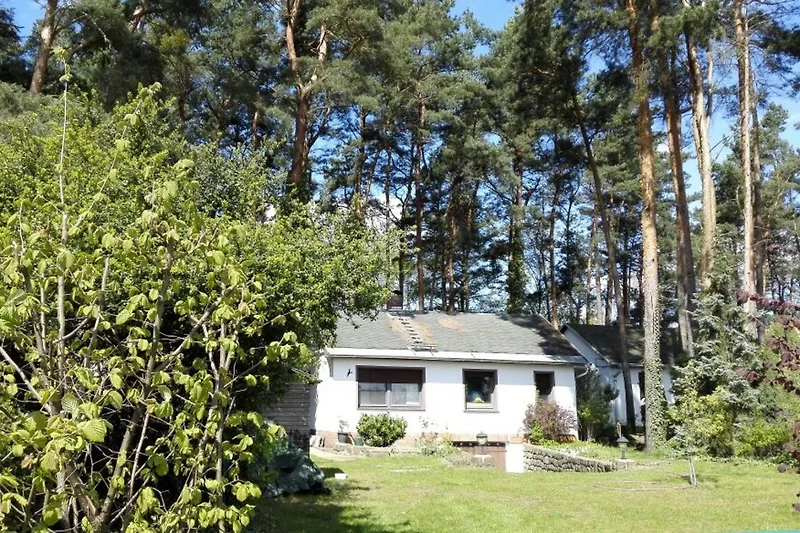 Bungalow Vooraanzicht