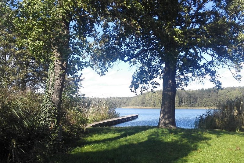Swimming spot at Byhlener Lake