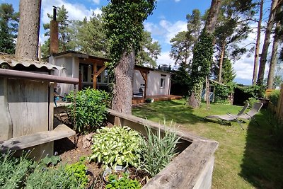 Bungalow am Schwielochsee-Spreewald