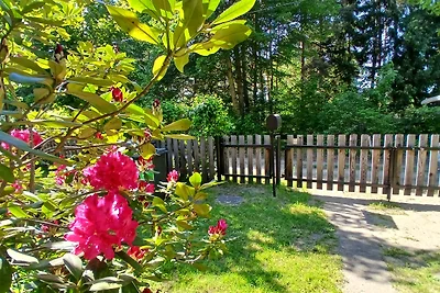 Bungalow am Byhlener See -Spreewald