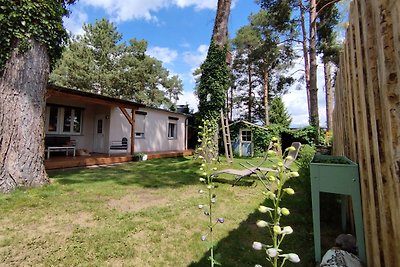 Bungalow am Schwielochsee-Spreewald