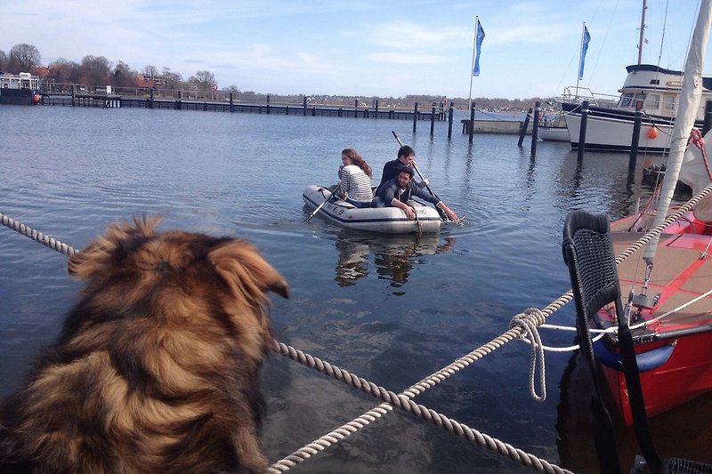 Fun paddling in the harbor - our new aluminum hull boat is a little bigger, with an electric outboard engine if desired