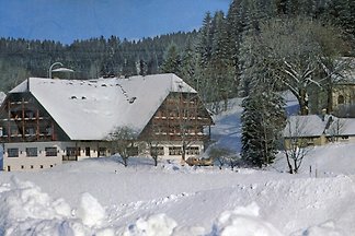 Tannzapfenland