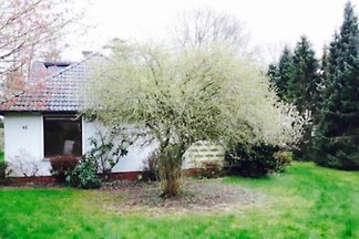 Altenwalder Küstenheide