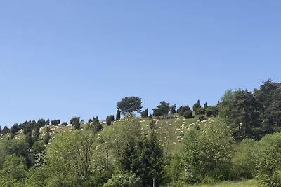FeWo Wacholderblick, 53945 Alendorf