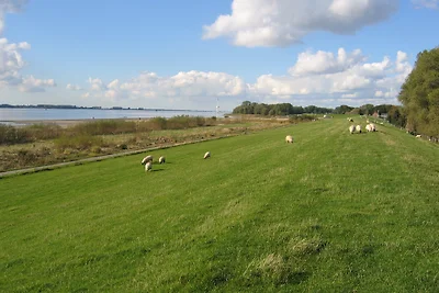 Ferienwohnung am Elbdeich