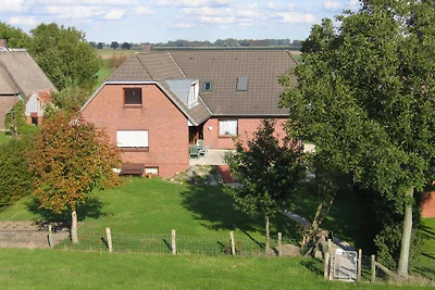 Ferienwohnung am Elbdeich