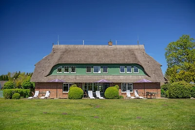 Ferienwohnanlage Nowo Grünes Haus Whg. 07