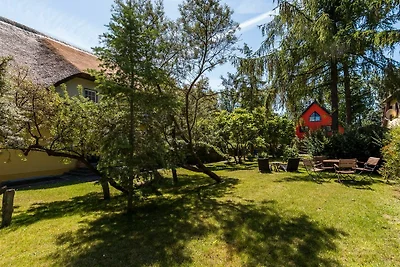 De Strandlöper 02