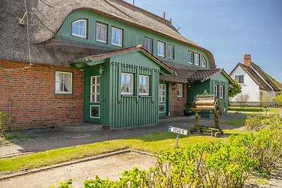 Ferienwohnanlage Nowo Grünes Haus Whg. 06