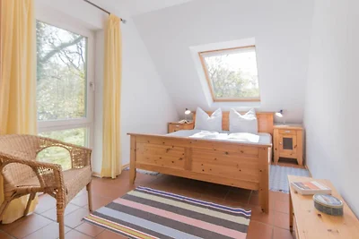 Landhaus DADDELDU Whg. V-D2 (hinten)