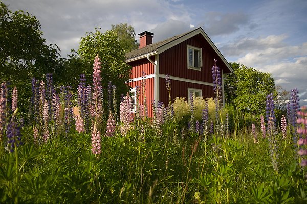 Ferienhaus Ekshärad