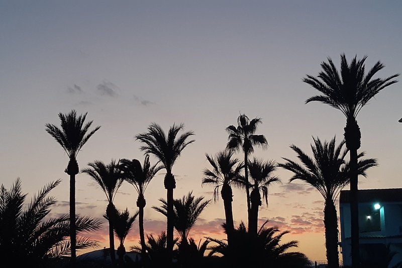 Tropischer Sonnenuntergang am Meer mit Palmen und Wolken.