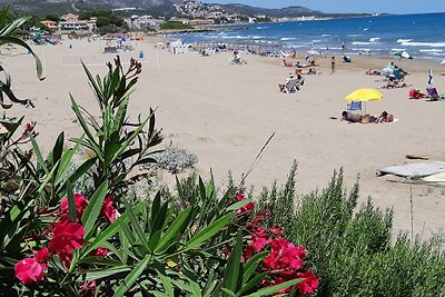 Top-Ferienwohnung  direkt am Meer