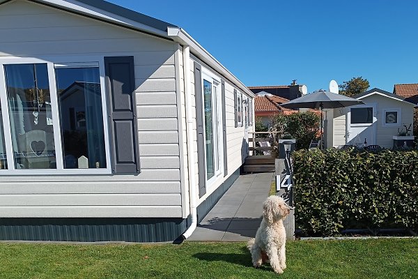 Ferienhaus Julianadorp aan Zee