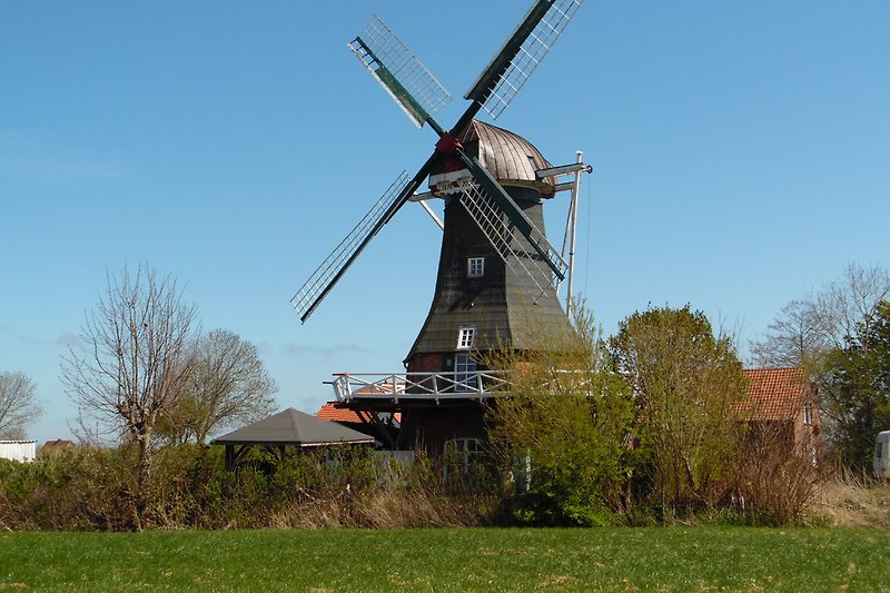 Windmühle Westerbur