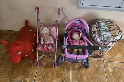 FeWo Kuhschelle