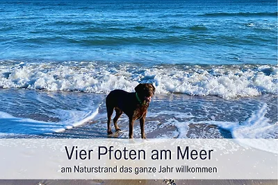 Appartamento "Wind" negli ELEMENTI al mare