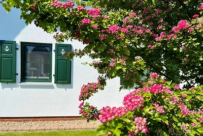 Ferienhaus Meerestraum